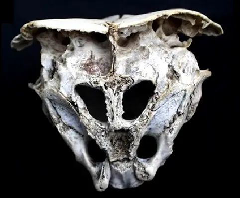 1 Alien Skull Was Found In Rhodope Mountains Maybe Another Cover up