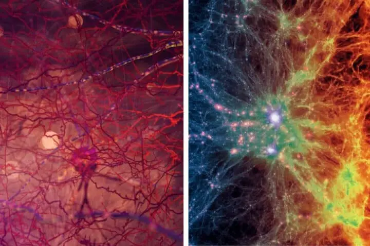 CAN THE UNIVERSE BE THE BRAIN OF SOMEONE?