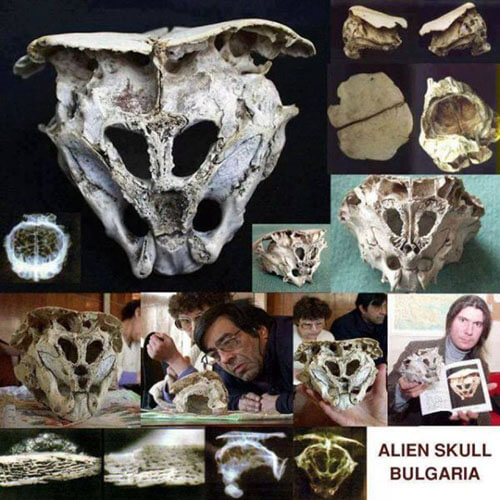 2 Alien Skull Was Found In Rhodope Mountains Maybe Another Cover up
