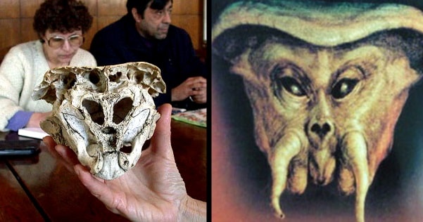 3 Alien Skull Was Found In Rhodope Mountains Maybe Another Cover up