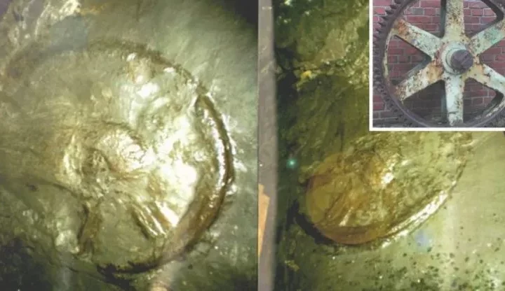 In a Mine, a"300 million year old" Wagon Wheel were found?