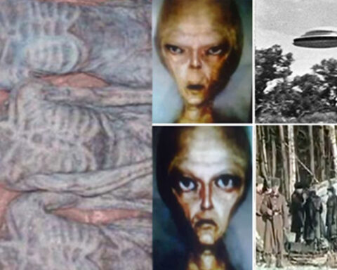 The Conflicts With Strange Alien Beings in Russia's Top-Secret UFO Files