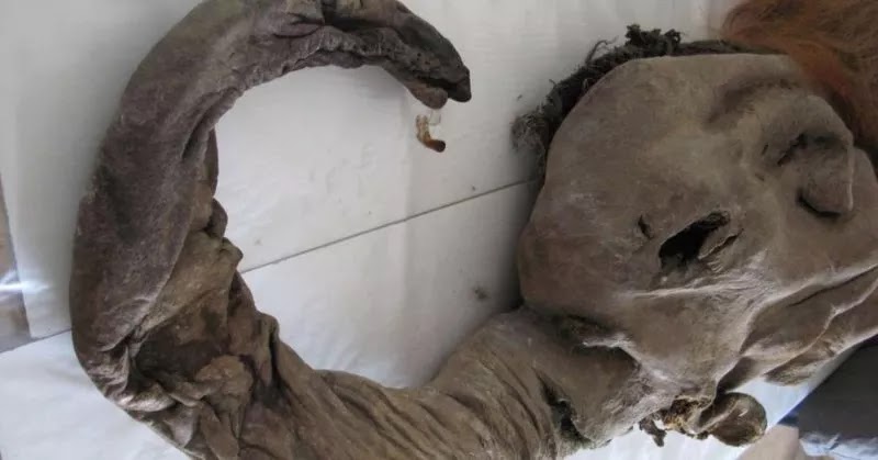 1 Japanese Scientists Revive Long Extinct Woolly Mammoth Cells