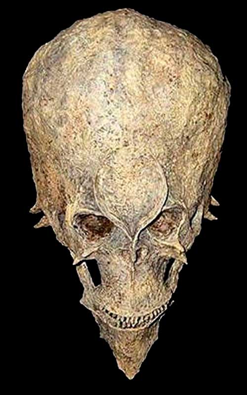 3 Bizarre Alien Skull Found in Africa A Discovery that Could Change History Forever