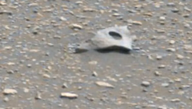 3 Curiosity Rover Sends a Photo of Metal Object on the Red Planet