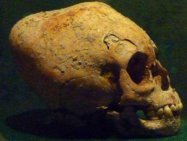 modified maya skull museo nacional de antropologia e historia mexico by maunus