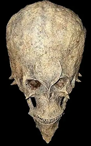 the unusual alien skulls found in africa may alter the course of history4 313x500 1
